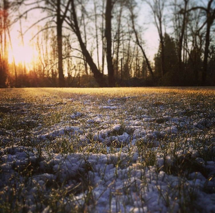 Two (Psalm 79, Micah 4.6-13, Revelation 18.1-10) Does compassion not rush to the widow?  Will the just and kind lack company?  At last! The lowly are lifted,  But the palace of pride laments.