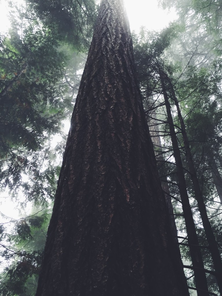 Processed with VSCO with f2 preset