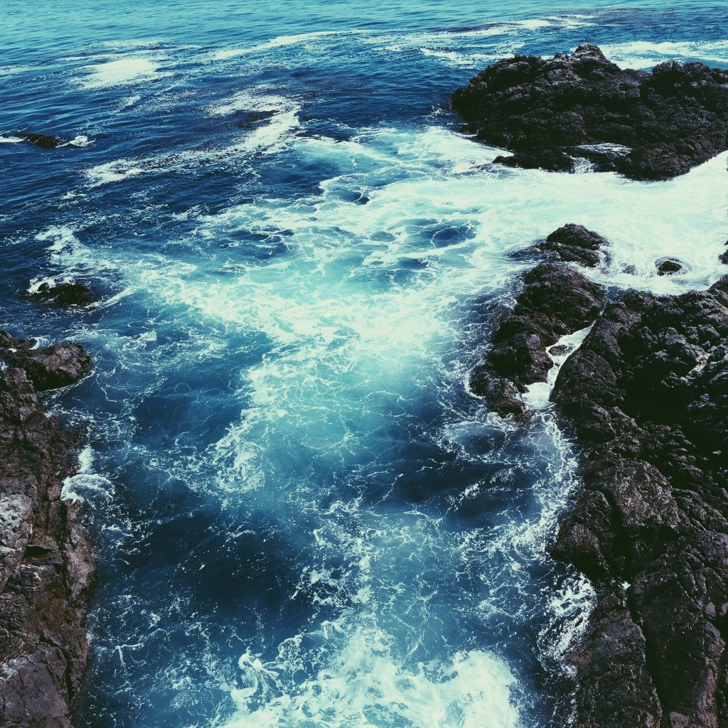 PARTINGTON COVE  Volcanic veins with life adorned  Lay helpless in the rapid merge  What distant molten fury formed Is now diminished in the surge