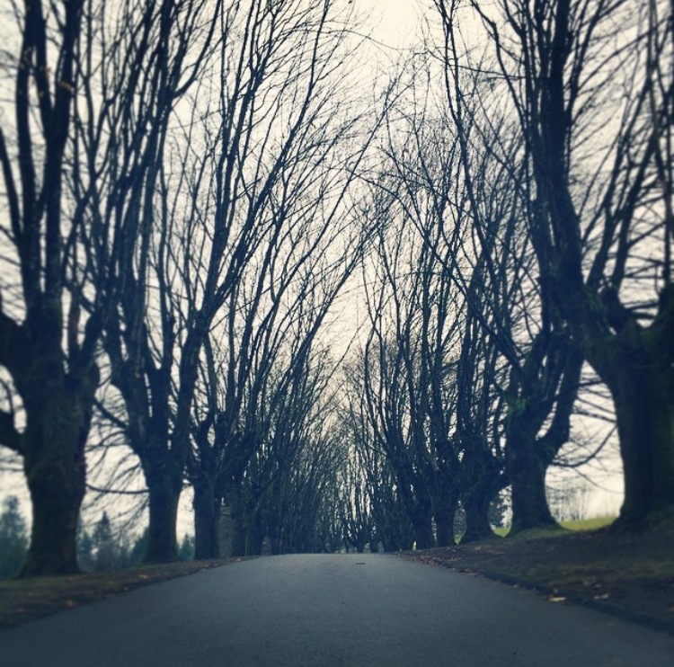 Five (Psalm 85.1-2, 8-13, Jeremiah 1.4-10, Acts 11.19-26) Good Giver graces  Any earth his Speech is sent   Where ears are open.